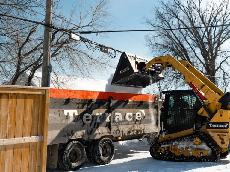 Compact track loader loading snow into a Terrace Snow Removal dump trailer in Winnipeg